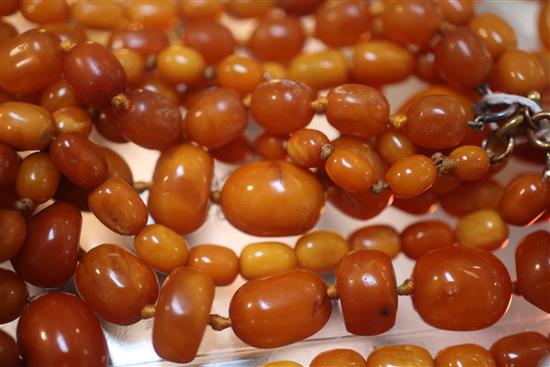 Three single strand amber bead necklaces, longest 36in.